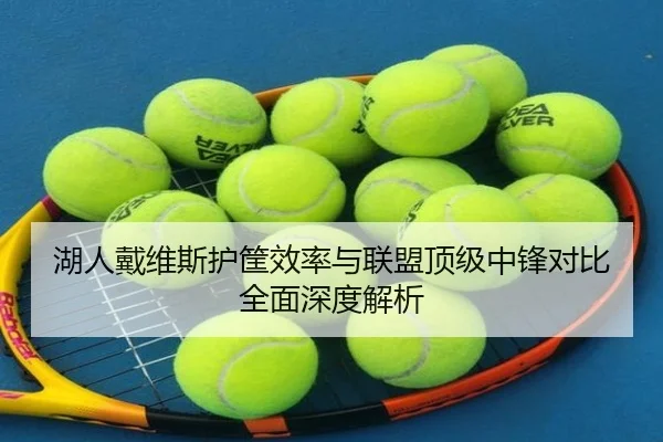 湖人戴维斯护筐效率与联盟顶级中锋对比全面深度解析