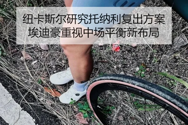 纽卡斯尔研究托纳利复出方案 埃迪豪重视中场平衡新布局